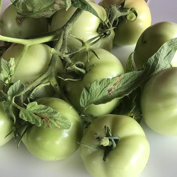 Confiture de tomates vertes à la vanille