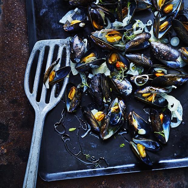 Moules au fenouil à la plancha