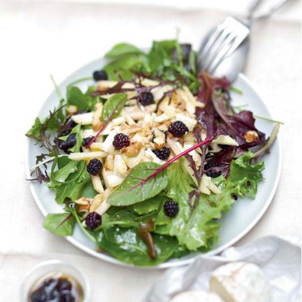 Salade de jeunes pousses au chèvre et vinaigrette de mûres