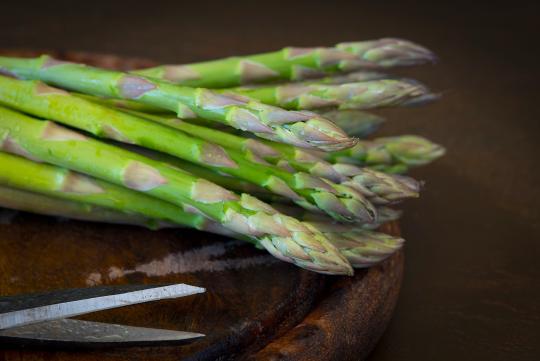 Asperge Verte