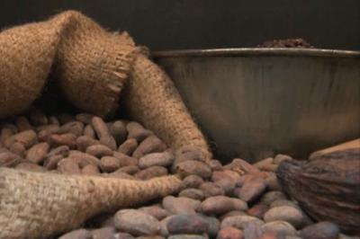LES SAVEURS DU CHOCOLAT