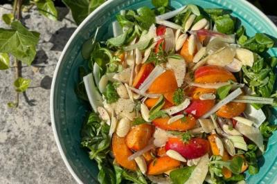 Salade d'abricots et de parmesan