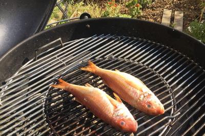 Rougets barbets marinés au barbecue de Julie