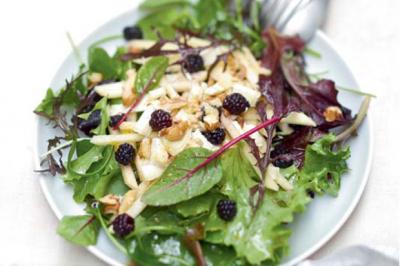 Salade de jeunes pousses au chèvre et vinaigrette de mûres