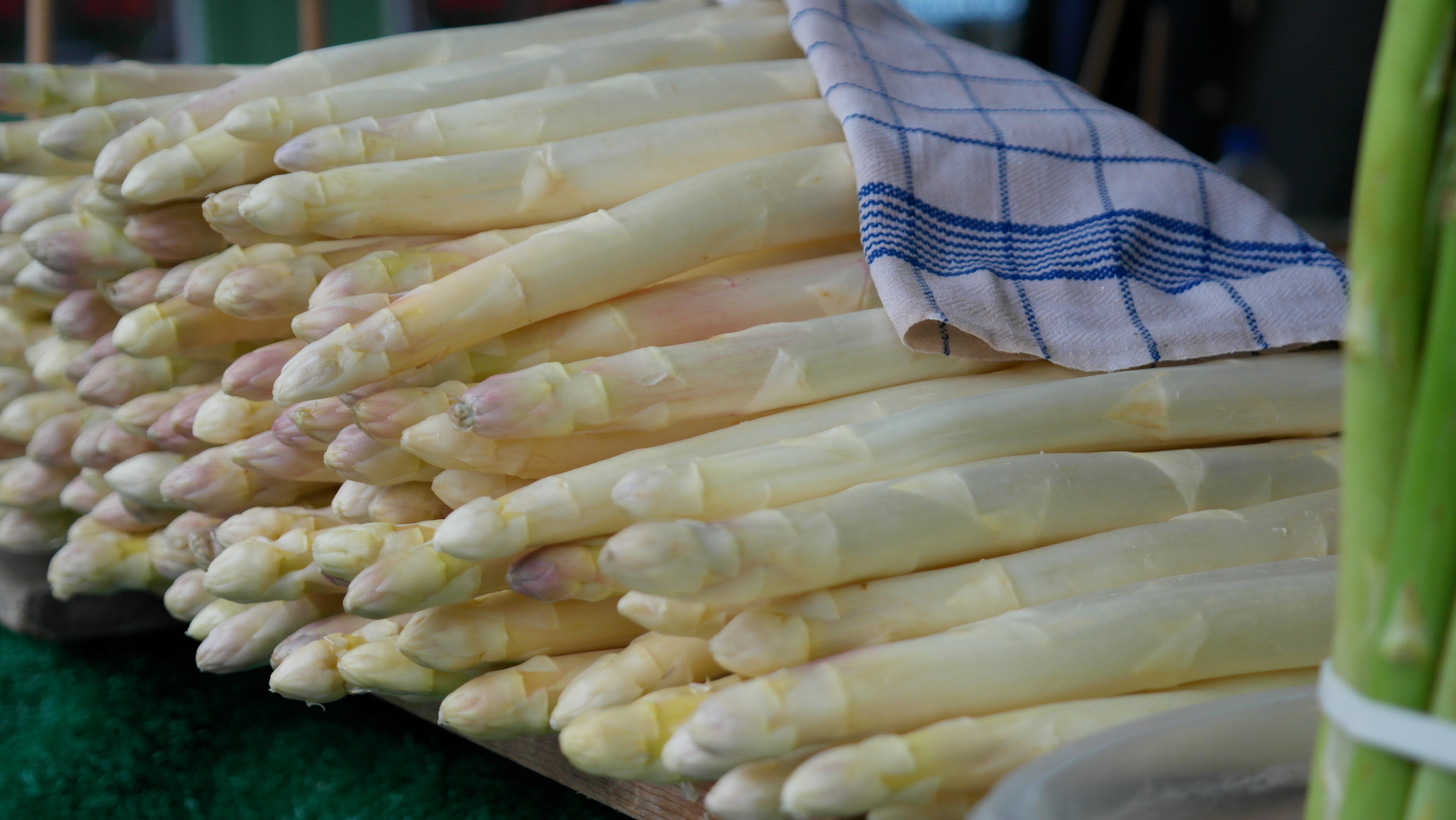 Asperge Blanche Asperge Blanche