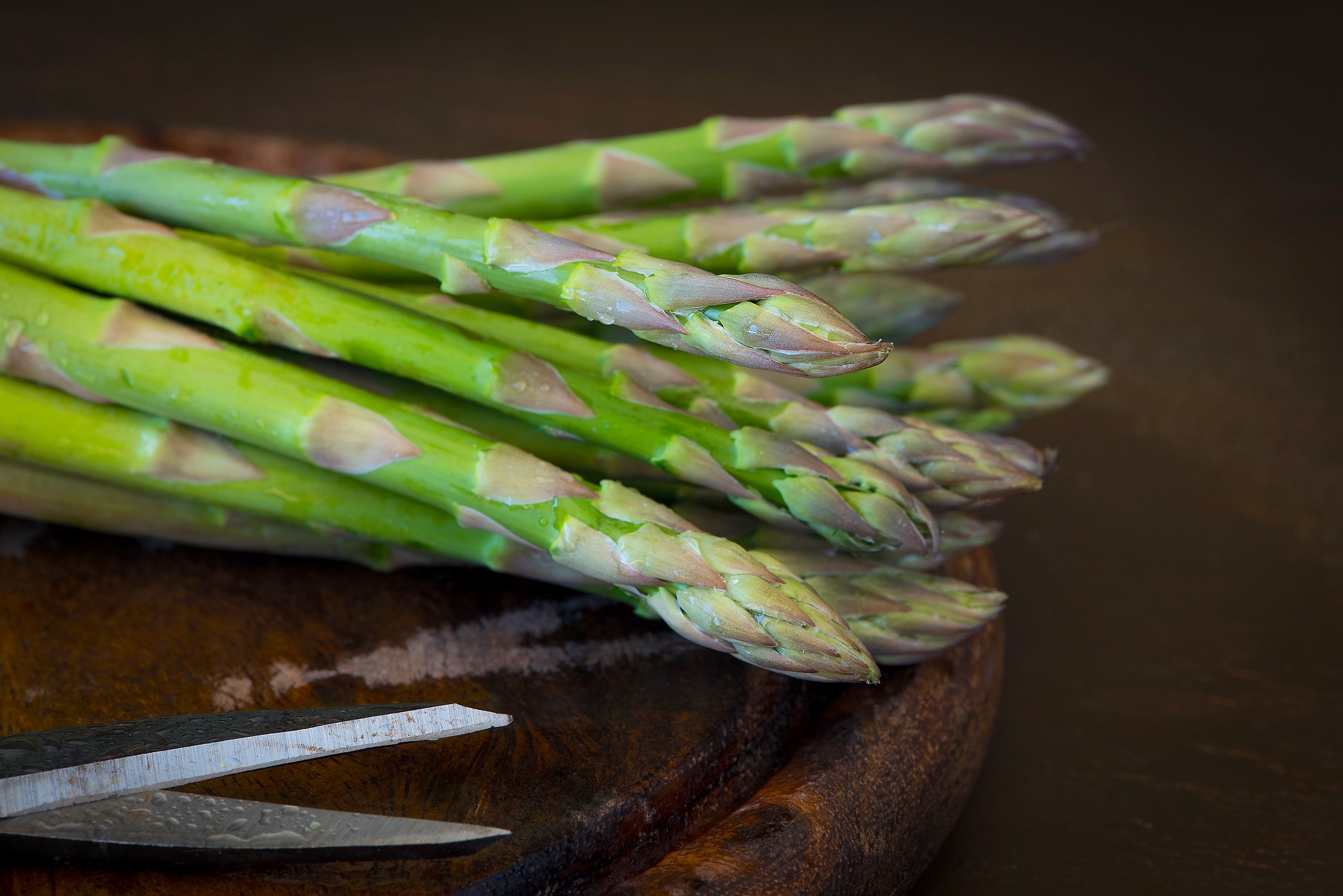 Asperge Verte Asperge Verte