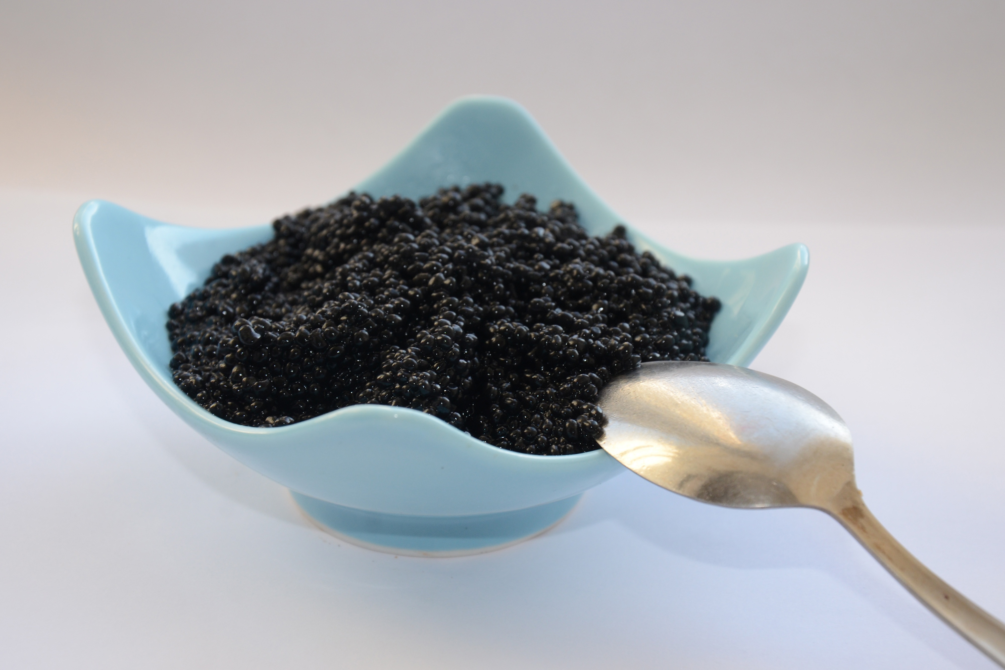 Caviar Caviar