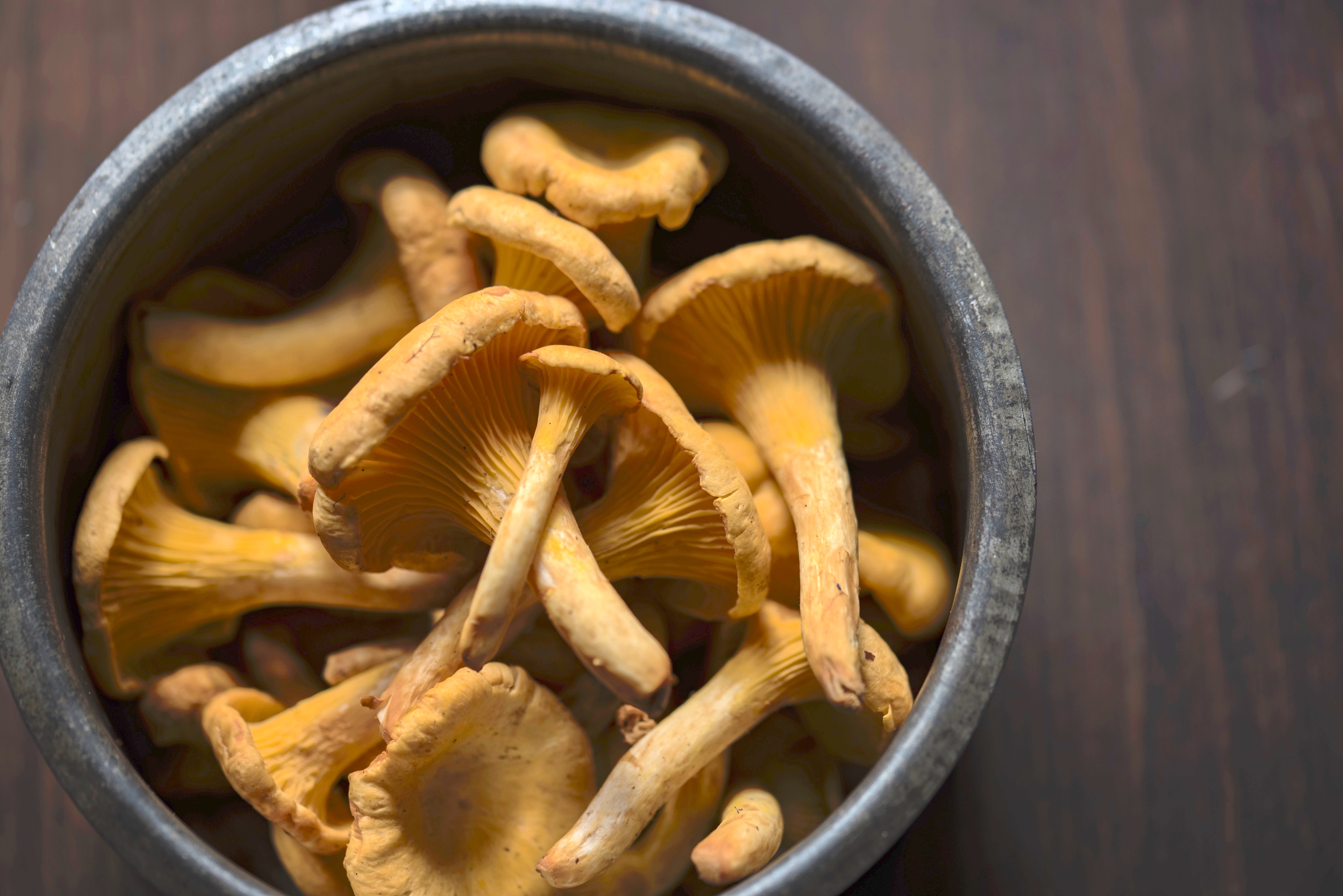 Girolle Girolle