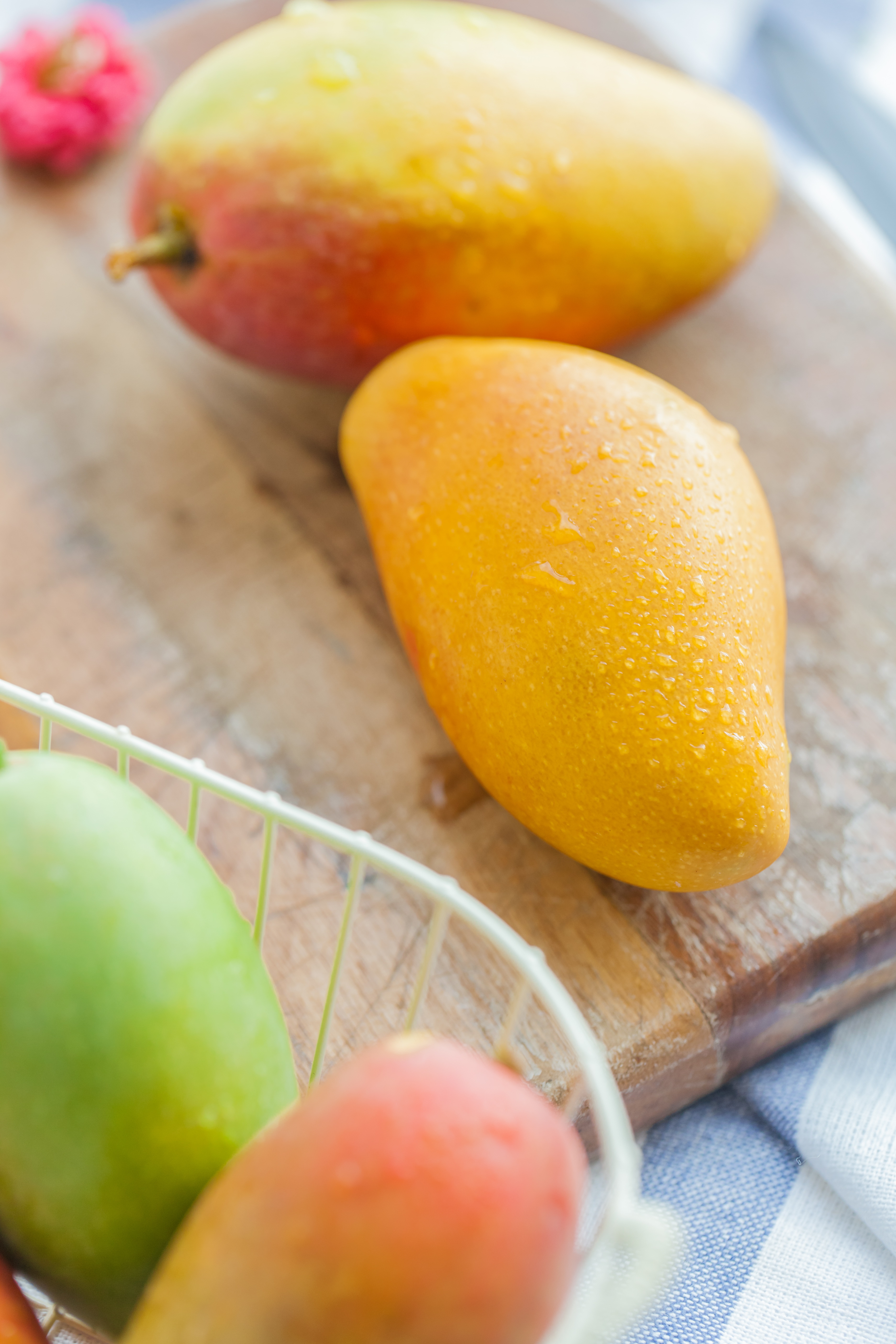 Mangue Mangue