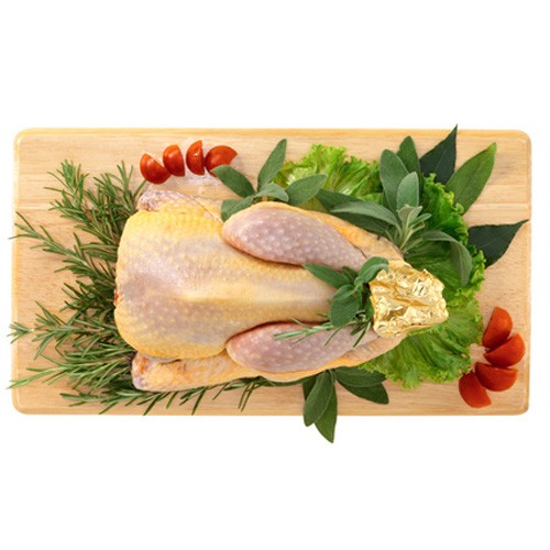 Pintade Pintade