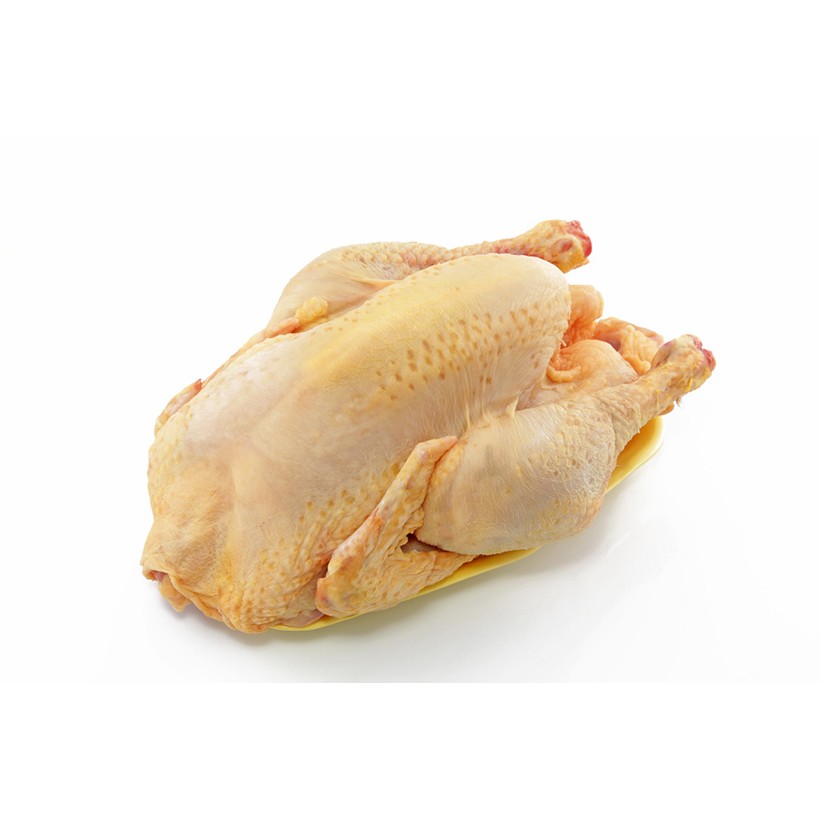 Poulet Poulet