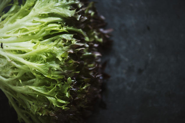 Salade amère Salade amère
