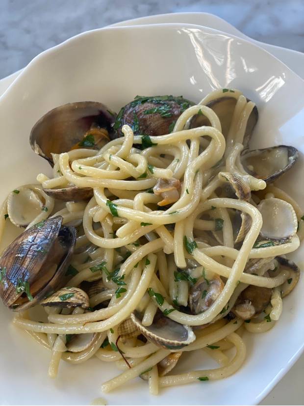 Picci vongole Picci vongole
