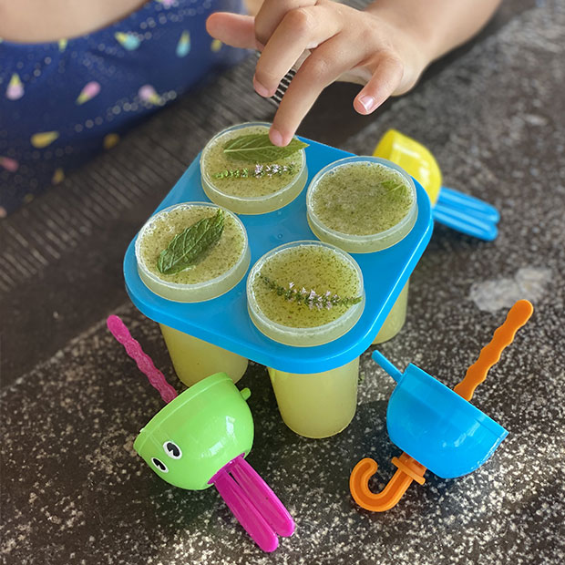 Esquimaux menthe, miel et citron vert Esquimaux menthe, miel et citron vert
