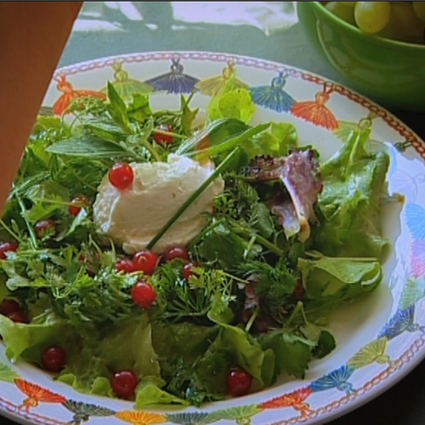 Salade d'herbes aux petits chèvres battus Salade d'herbes aux petits chèvres battus