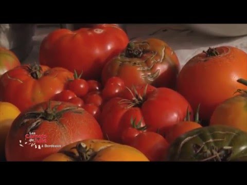 Video Tomates farcies cuites et crues de Nicolas