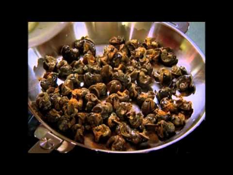 Video Les Escargots du Causse