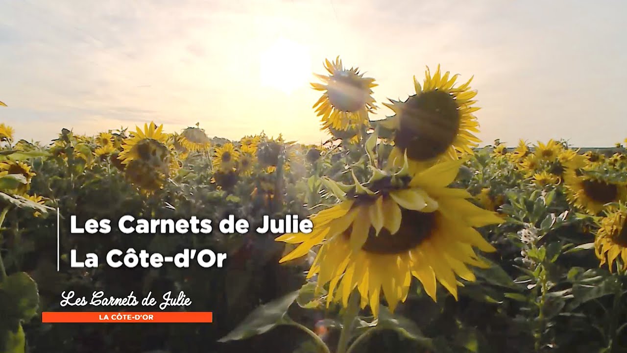 Video Crème de potimarron, champignons et lard laqué au cassis de Jean-Michel