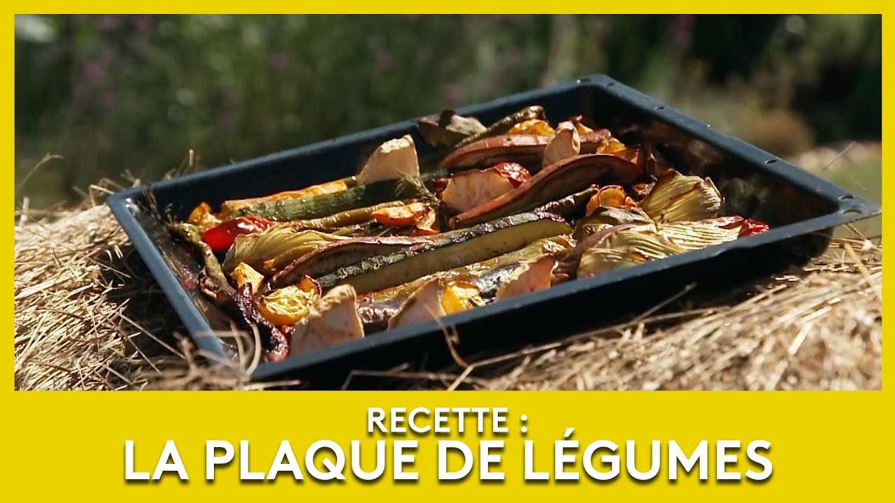 Video Plaque de légumes de Julie