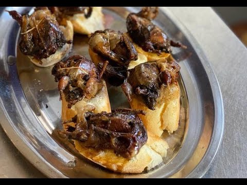 Video Brochettes de grives bardées de Nicolas