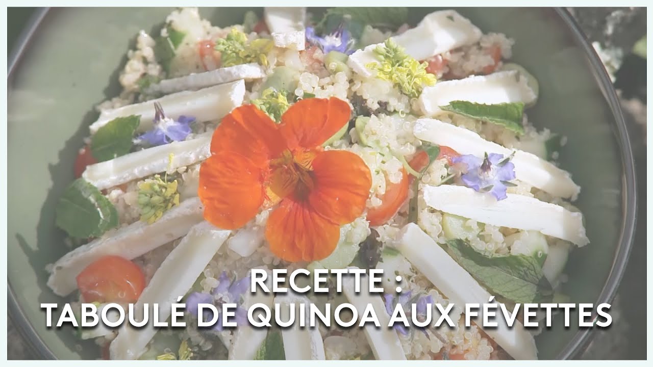 Video Taboulé aux fèves et guacamole de cosses de Julie