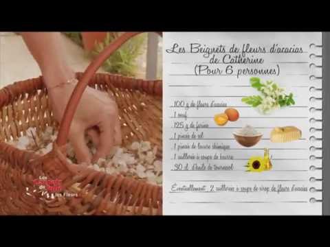 Video Les beignets de fleurs d’acacia de Catherine