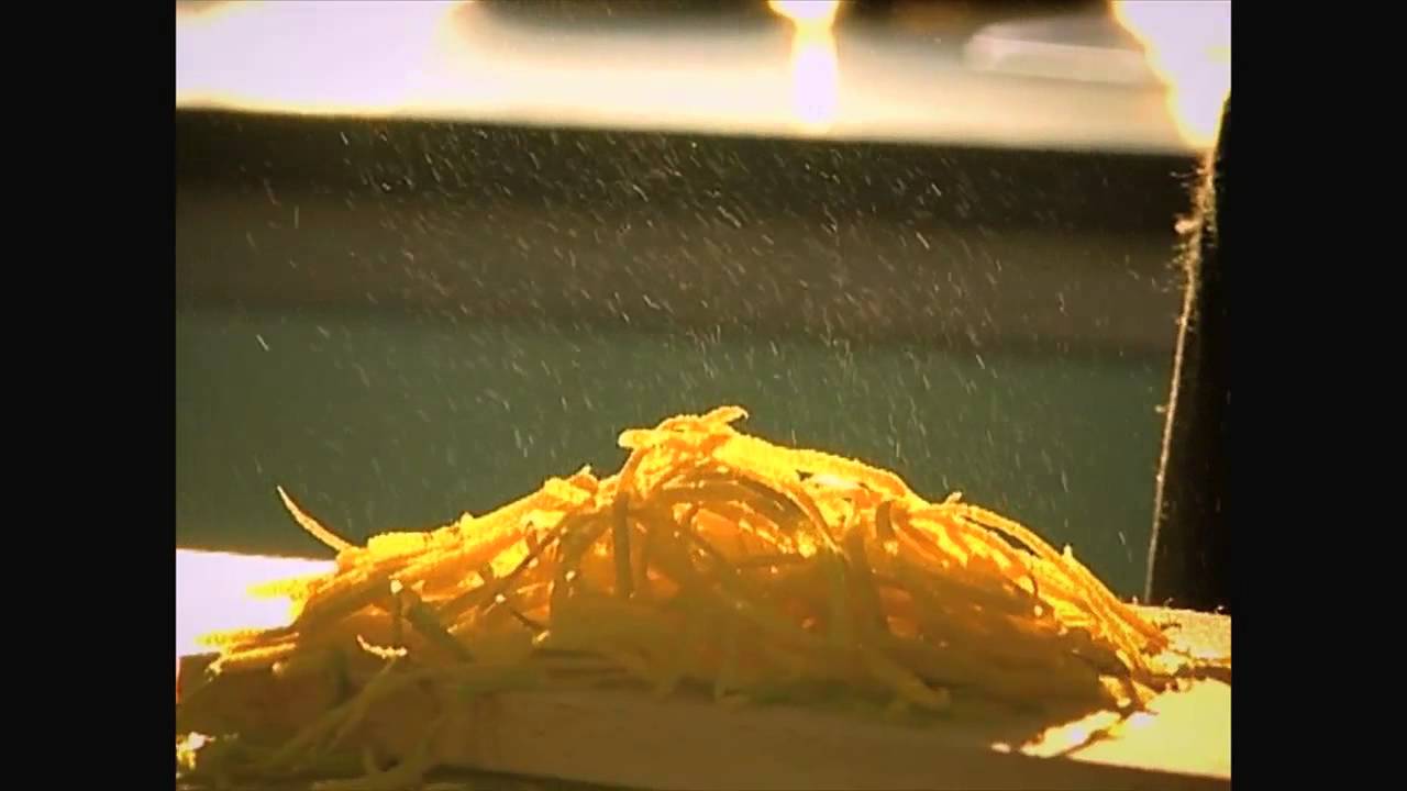 Video Pâtes fraîches au citron